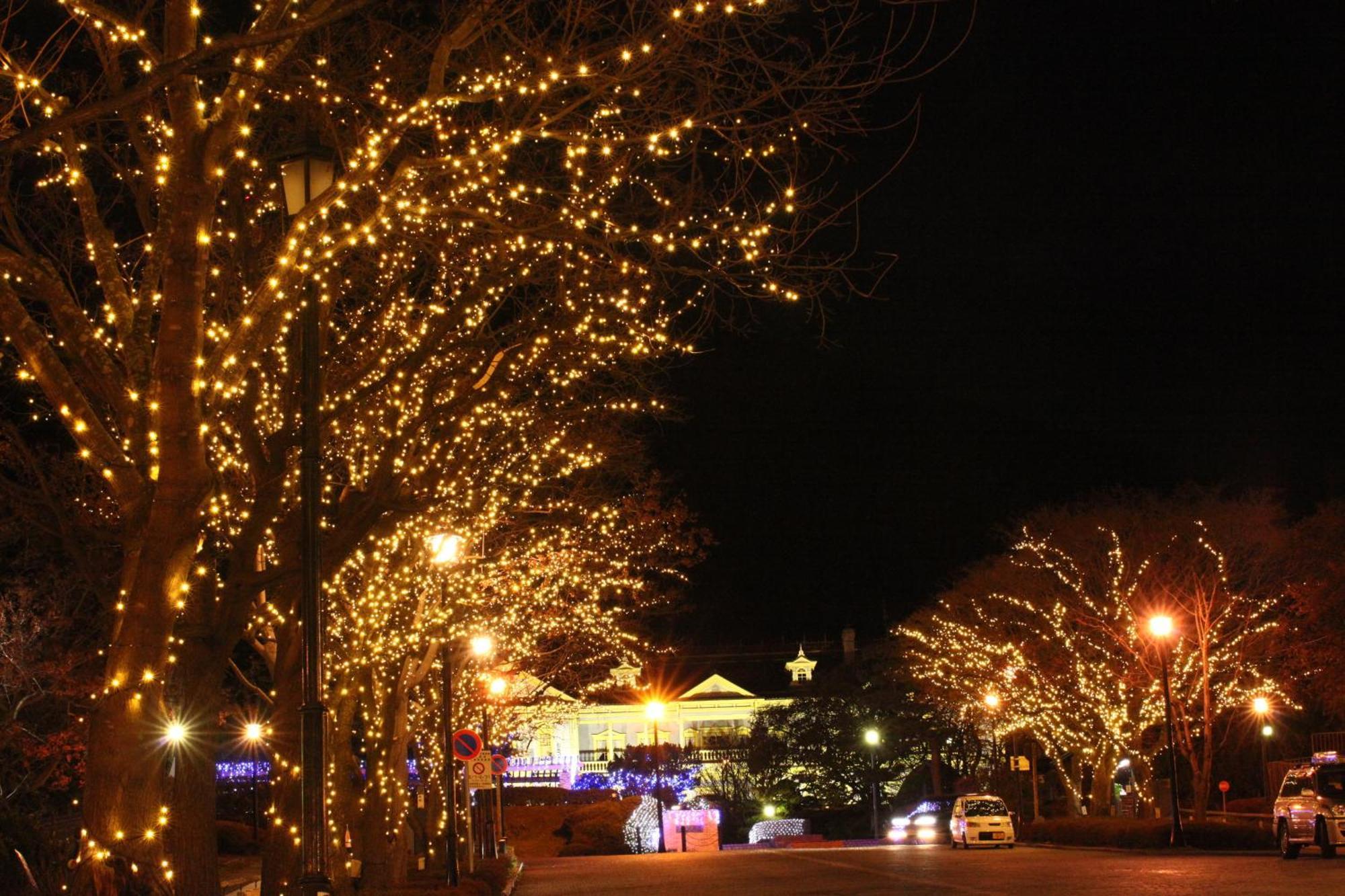 Hakodate Kokusai Hotel Exteriér fotografie